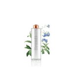 گلدان آپارتمانی تیلادنسیا