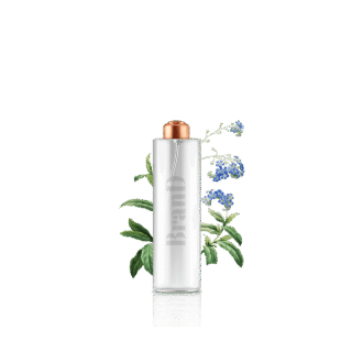 گلدان آپارتمانی تیلادنسیا