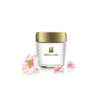 گلدان آپارتمانی کراسولا آواتا