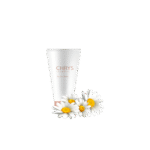 گلدان آپارتمانی فیکوس الاستیکا بلک - تصویر 3