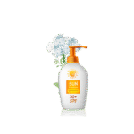 گلدان آپارتمانی فیکوس الاستیکا بلک - تصویر 2