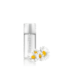 گلدان آپارتمانی فیکوس الاستیکا بلک - تصویر 4