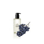 گلدان آپارتمانی زاموفیلیا - تصویر 4