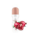 گلدان آپارتمانی فیکوس الاستیکا بلک