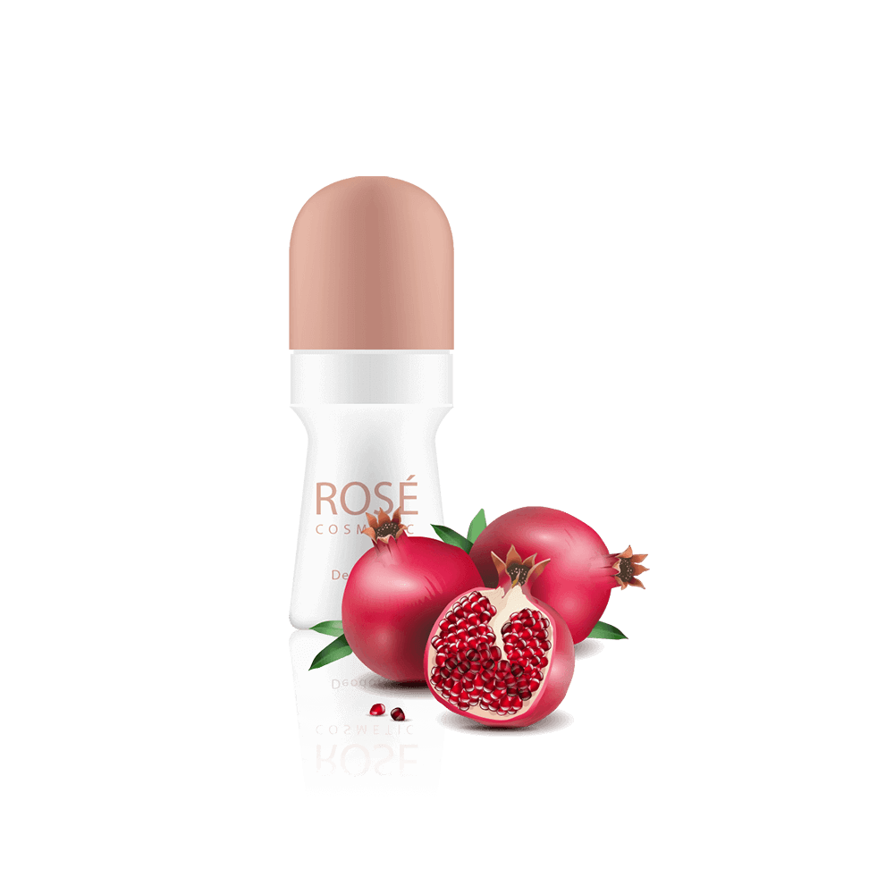 img-6-1-1 گلدان آپارتمانی فیکوس الاستیکا بلک - تصویر 1